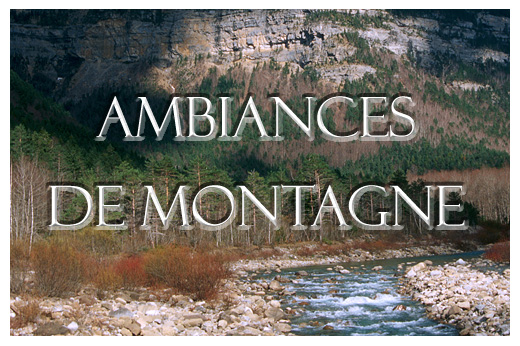 Consultez la galerie - AMBIANCES DE MONTAGNE