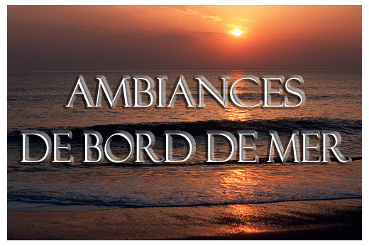 Consultez la galerie - AMBIANCES EN BORD DE MER