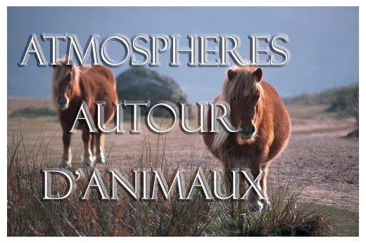 Consultez la galerie - ATMOSPHERES AUTOUR D'ANIMAUX